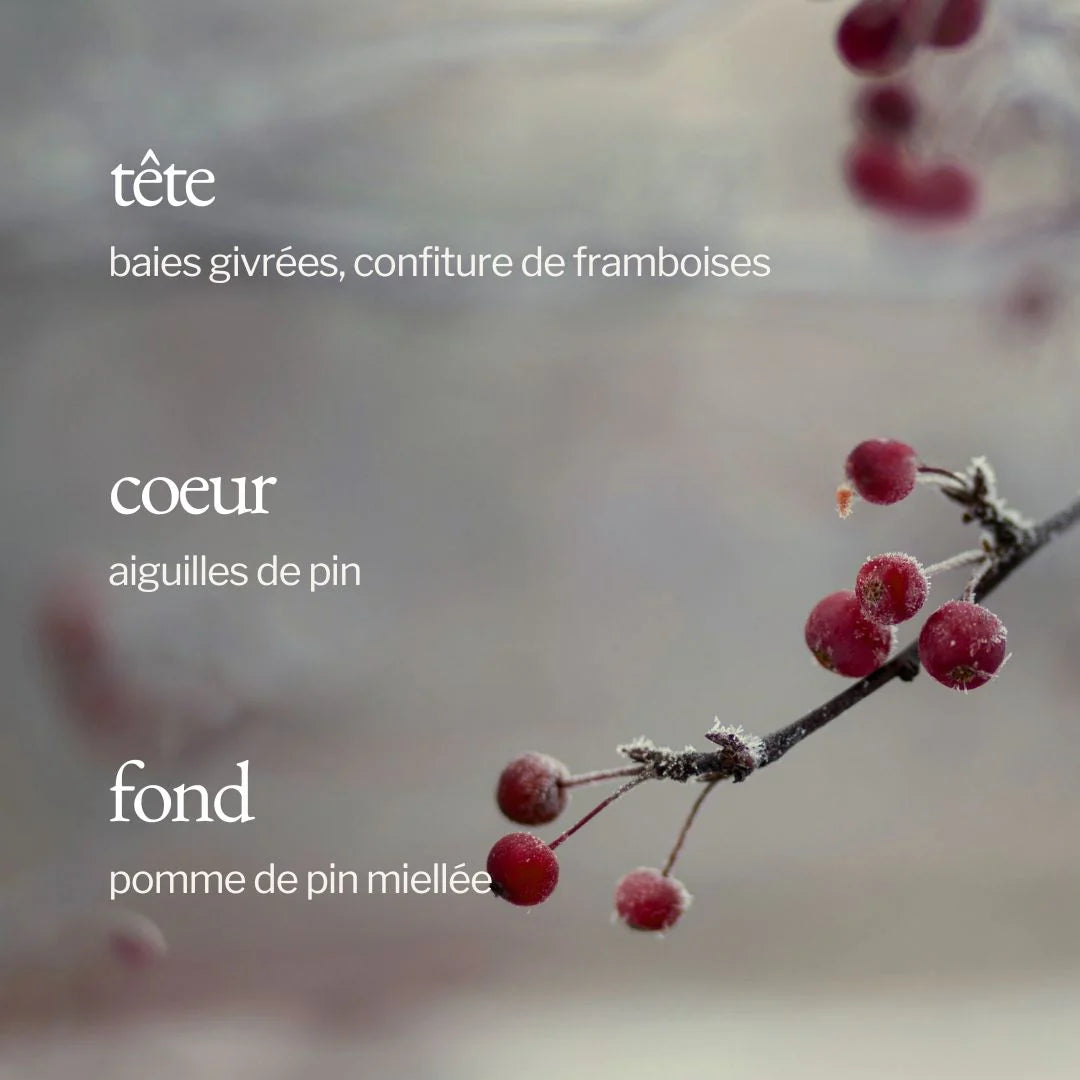 Bougie - Baies givrées + pin