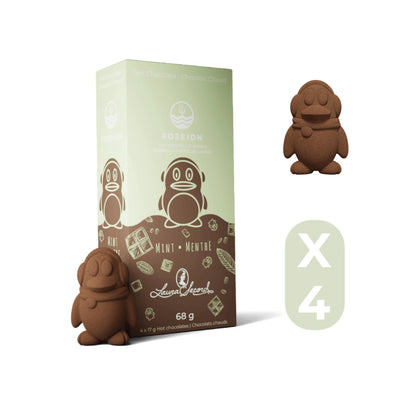 Bombes à chocolat chaud - Menthe