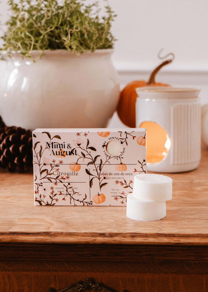 Cubes de cire de soya - Citrouille