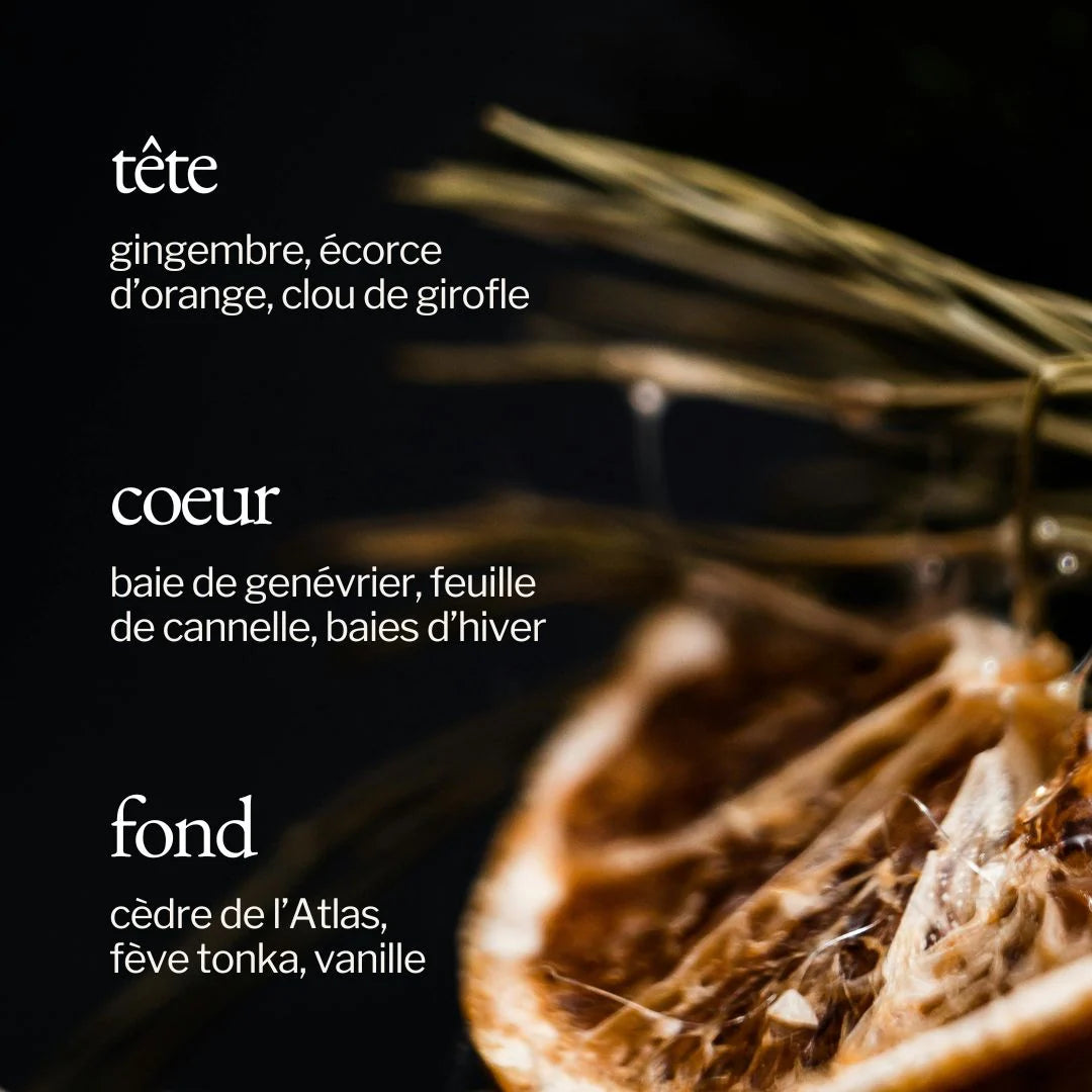Bougie - Cèdre d'atlas + orange épicées
